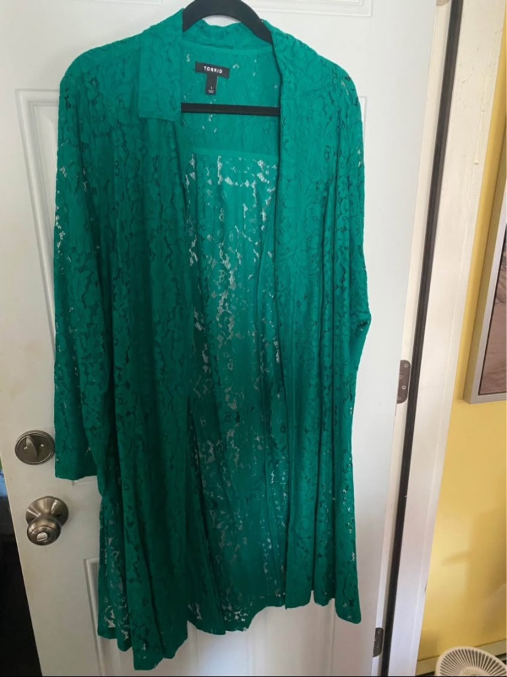 Torrid Teal Lace Duster